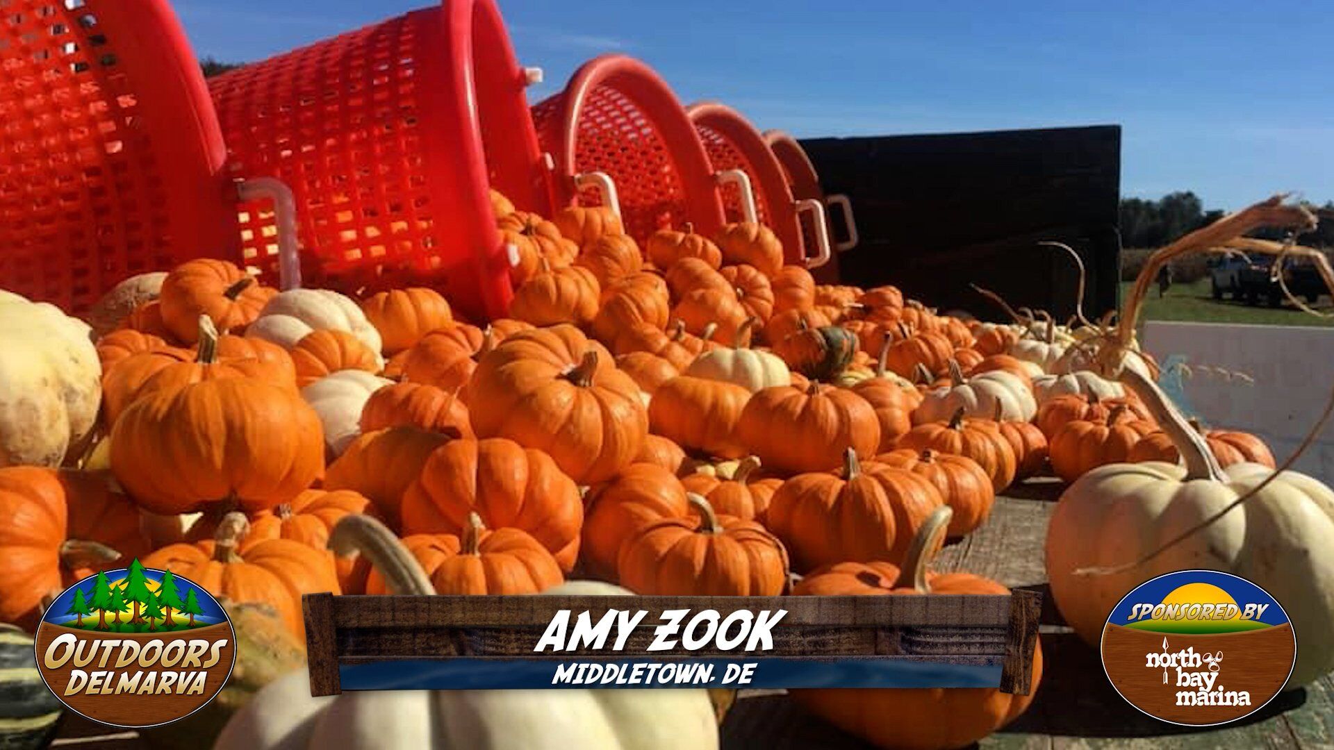 Viewer Pictures - October 25, 2025